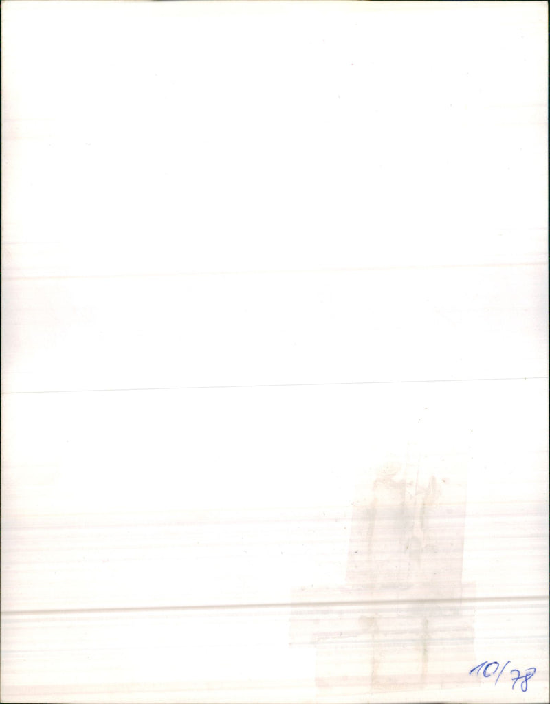 Random Cars. - Vintage Photograph