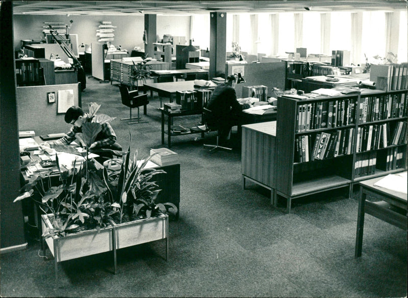 1987 DAGBLADETS NINE VAR LANDSCAPE IMAGE TEL AFTER WHICH ILLS SOON SVENSKA LAT - Vintage Photograph