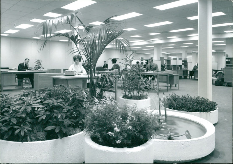 1967 GIVE RELATIVE LANDSCAPE FACIT IMAGE NUMBER ITS CONSTANT HUMIDITY ATVIDABER - Vintage Photograph