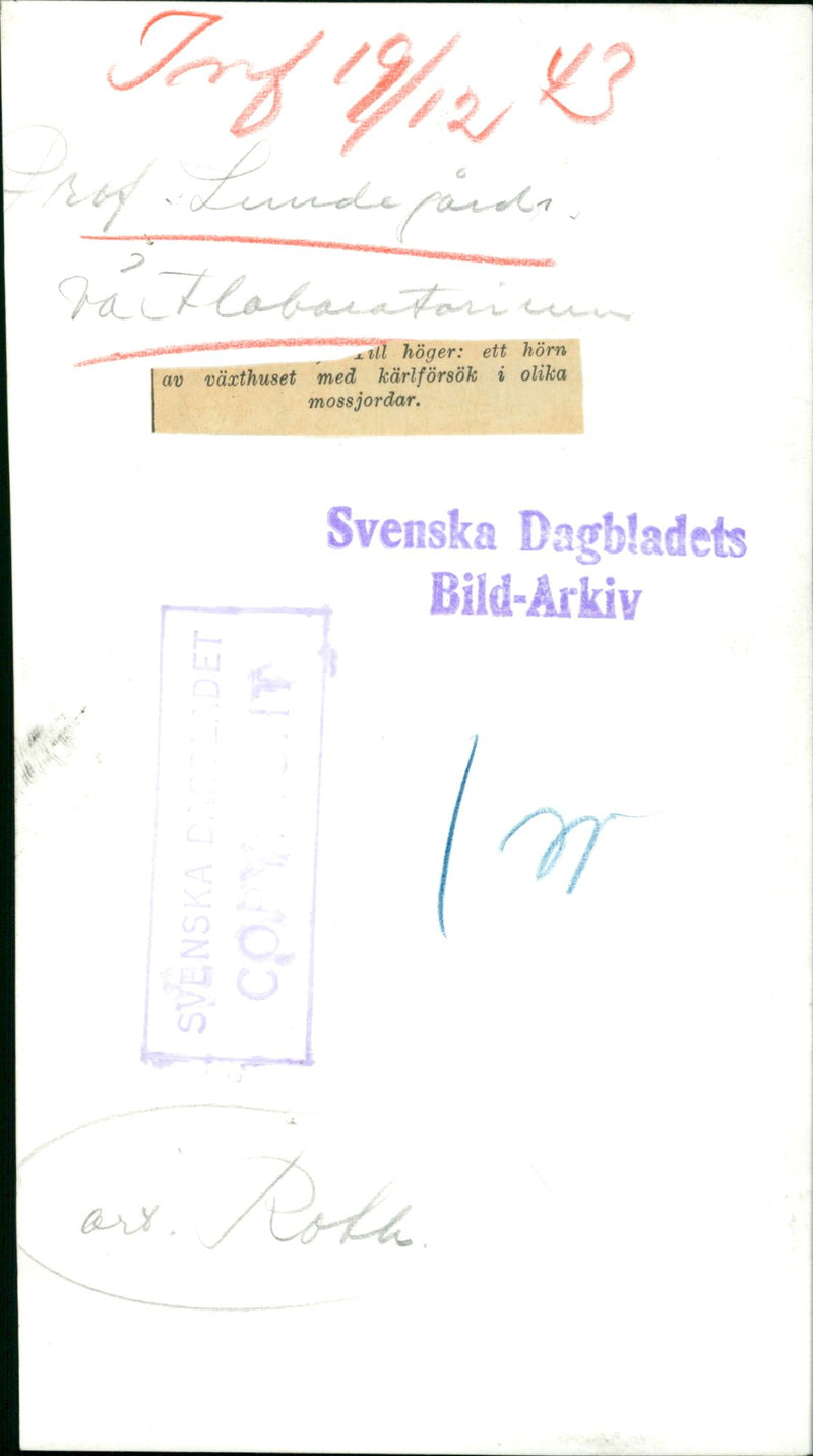 Professor Henrik Lundegårdh Laboratory. - Vintage Photograph