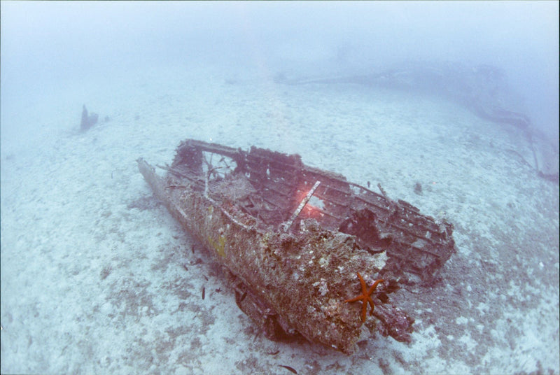 1998 PICA HAS NOTIFICATION TWIN DISCO EARLY LIGHTNING FRANCE PRESS WRITER - Vintage Photograph