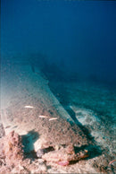 1998 PICA HAS NOTIFICATION TWIN DISCO EARLY LIGHTNING FRANCE PRESS WRITER - Vintage Photograph