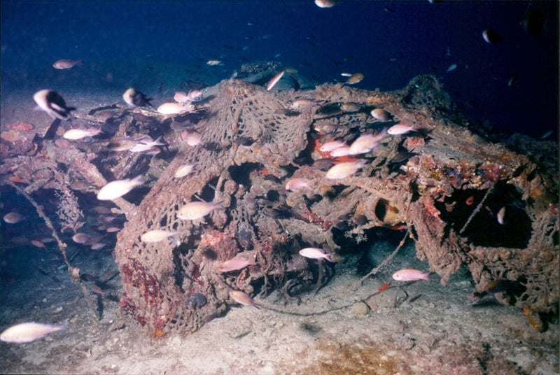 1998 PICA HAS NOTIFICATION TWIN DISCO EARLY LIGHTNING FRANCE PRESS WRITER - Vintage Photograph