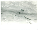 The members of the Arctic expedition photographed during the trek across the polar ice - Vintage Photograph