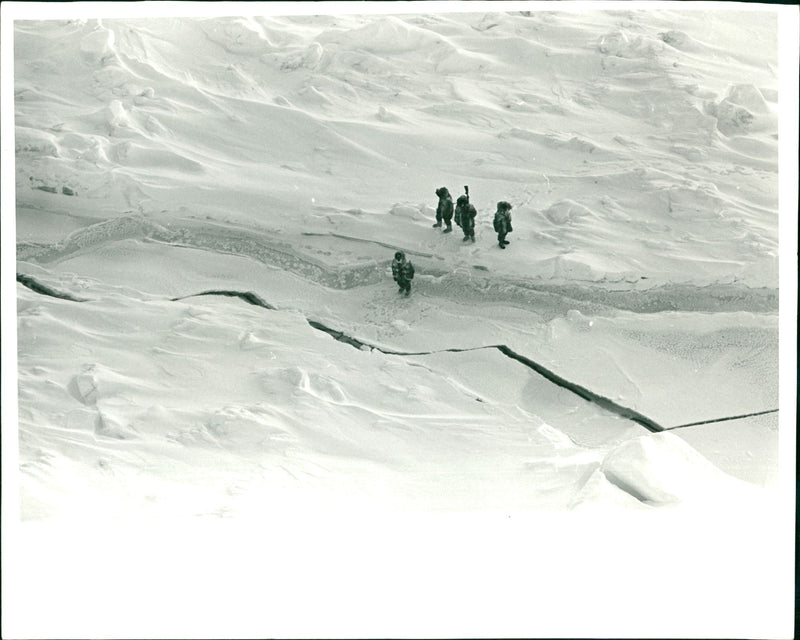 The members of the Arctic expedition photographed during the trek across the polar ice - Vintage Photograph
