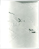 From the British trans-Arctic expedition - Vintage Photograph