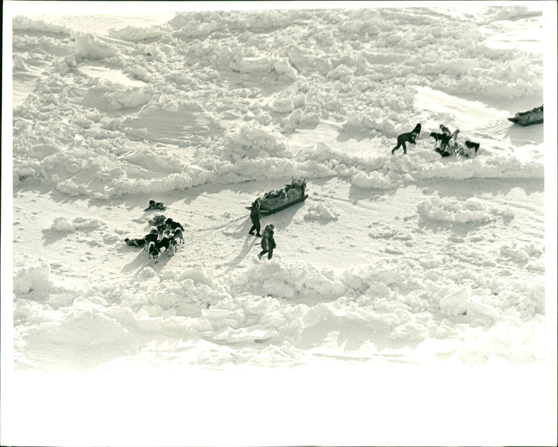 From the British trans-Arctic expedition - Vintage Photograph