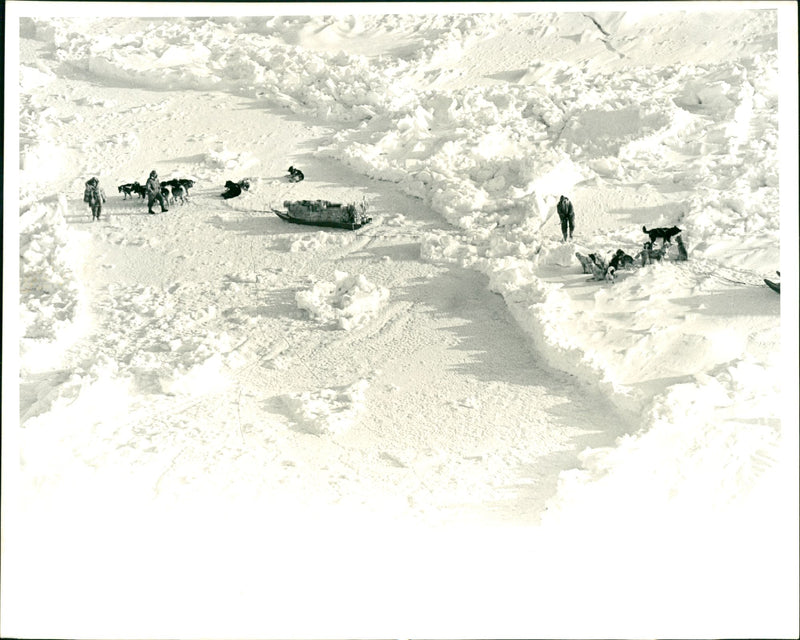 From the British trans-Arctic expedition - Vintage Photograph