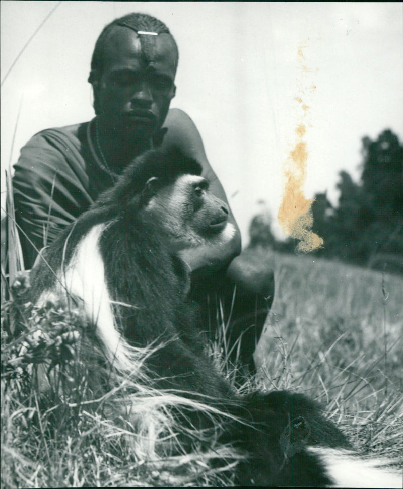 Expeditions and research trips. 1941 - 1950 - Vintage Photograph