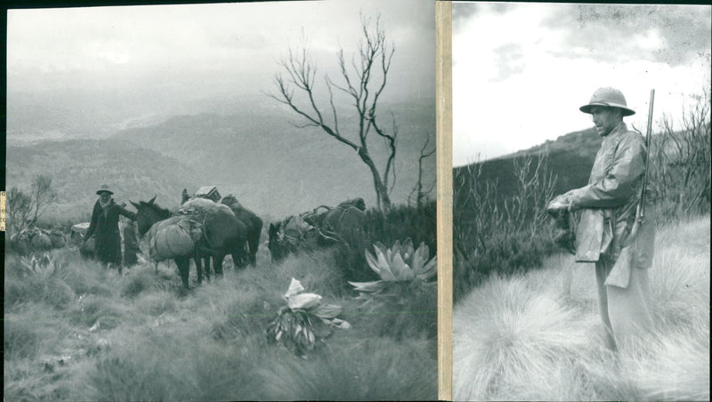 Lecturer Bengt Lundholm during his expedition in Africa - Vintage Photograph