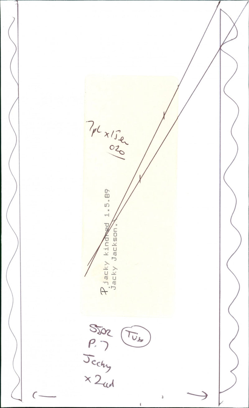 1989 MUSICIAN JACKSON - Vintage Photograph