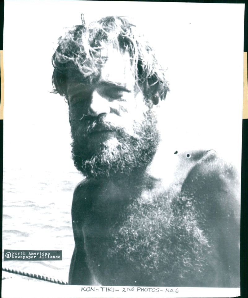 Herman Watzinger, second in command on the Kon Tiki expedition - Vintage Photograph