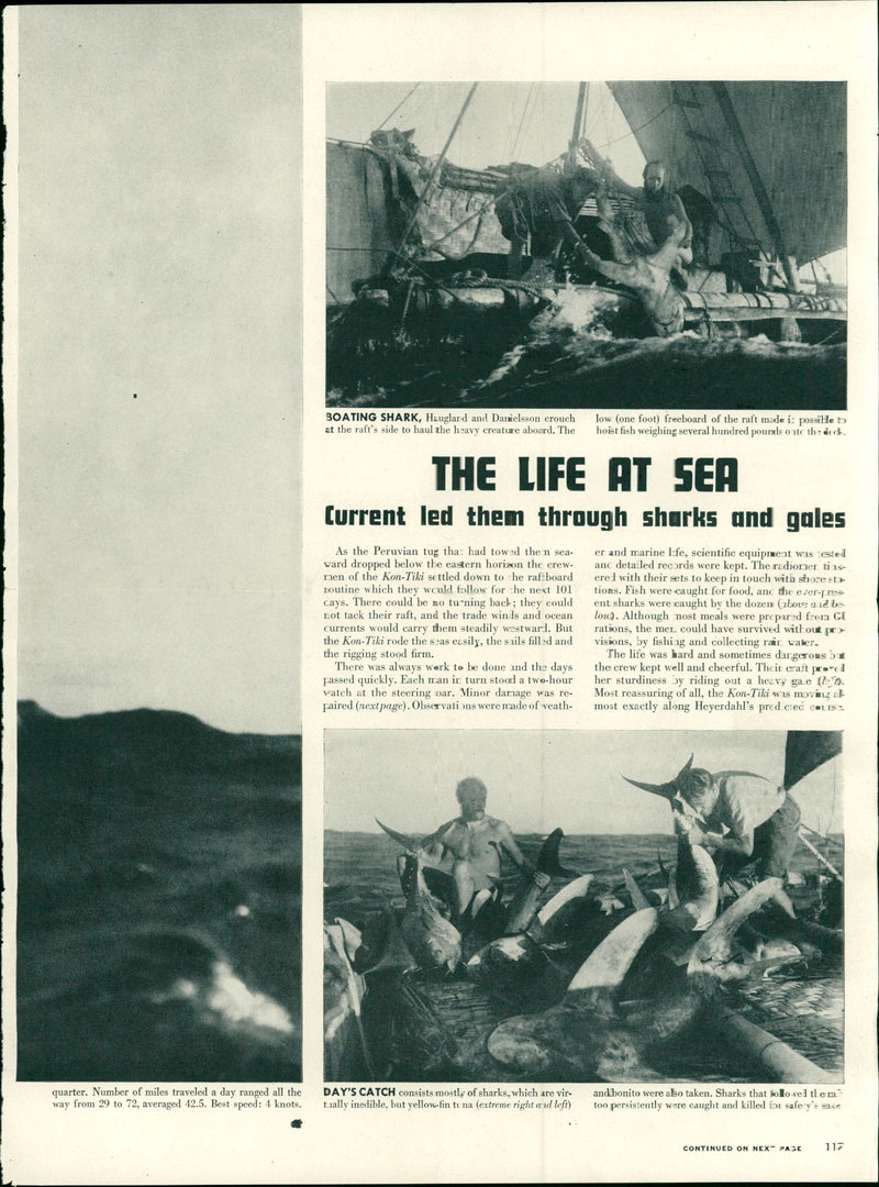 Newspaper article from the Kon-Tiki expedition - Vintage Photograph