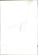 BLACK WHITE CONCERT JOHN - Vintage Photograph