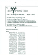 Peter Tholse - Vintage Photograph