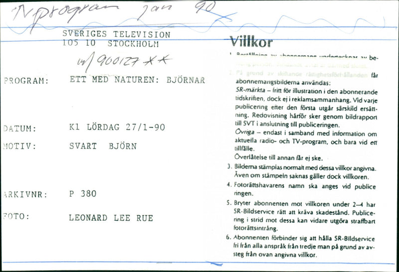 One With Nature: Bears - Vintage Photograph