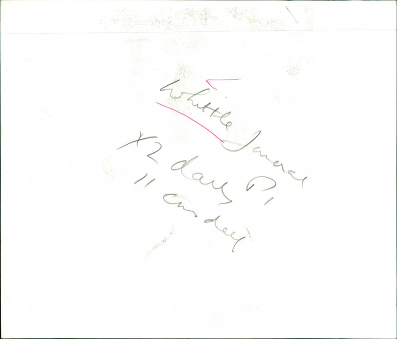 Whittle Jeneral x2 days Il candel
WHITTLE Lesley See also CRIME : MURDER , " BL - Vintage Photograph