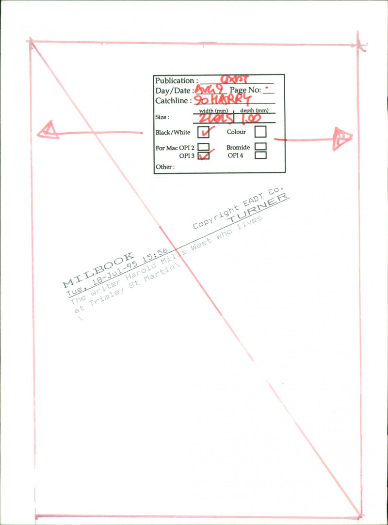 BLACK WHITE WRITER - Vintage Photograph