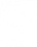 Dogs - Vintage Photograph