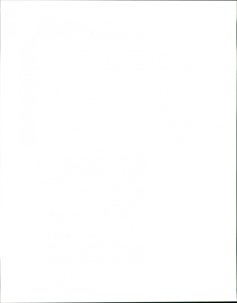 Dogs - Vintage Photograph