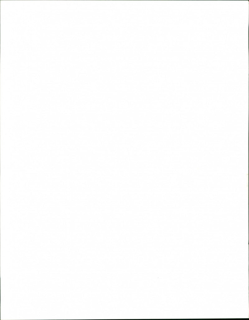 Dogs - Vintage Photograph