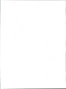 Dogs - Vintage Photograph