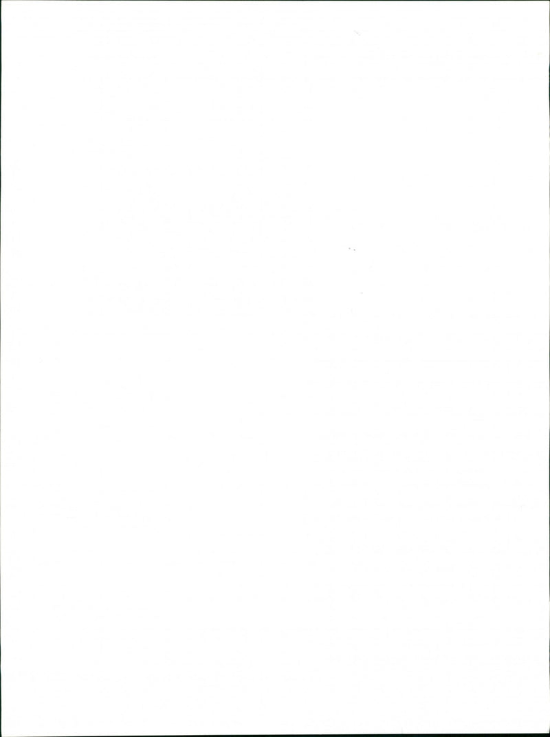 Dogs - Vintage Photograph