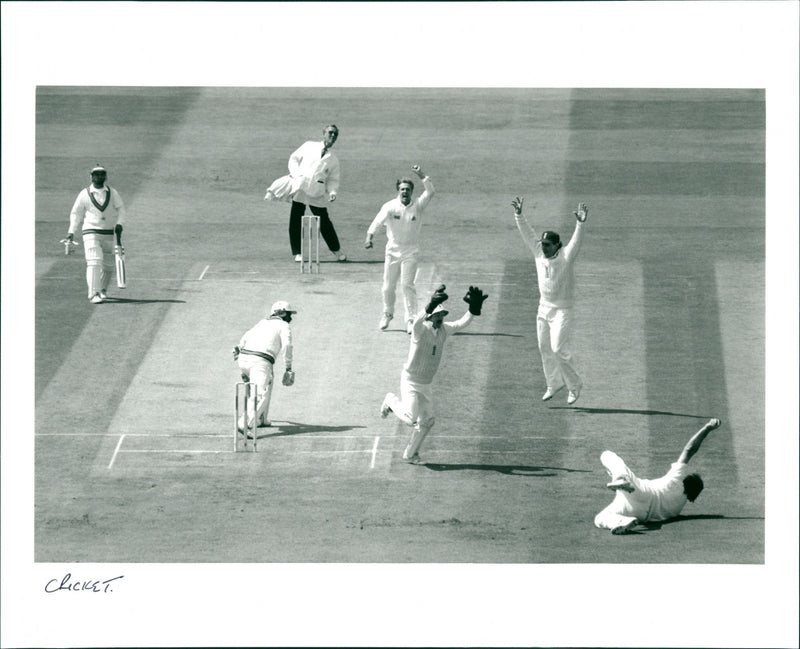 Cricket - Vintage Photograph