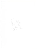 DURE OF RURLAND - DUKE COMPARJUSS RUFFEND, WIN, PRO, CHARLOTTE - Vintage Photograph