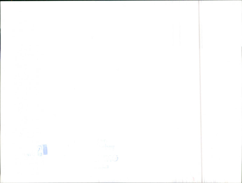 Toyota Celica Cabrio Tropic - Vintage Photograph