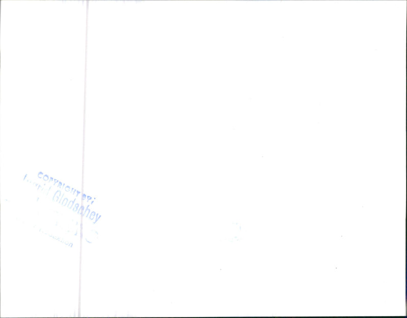 BMW 325i 1989 - Vintage Photograph