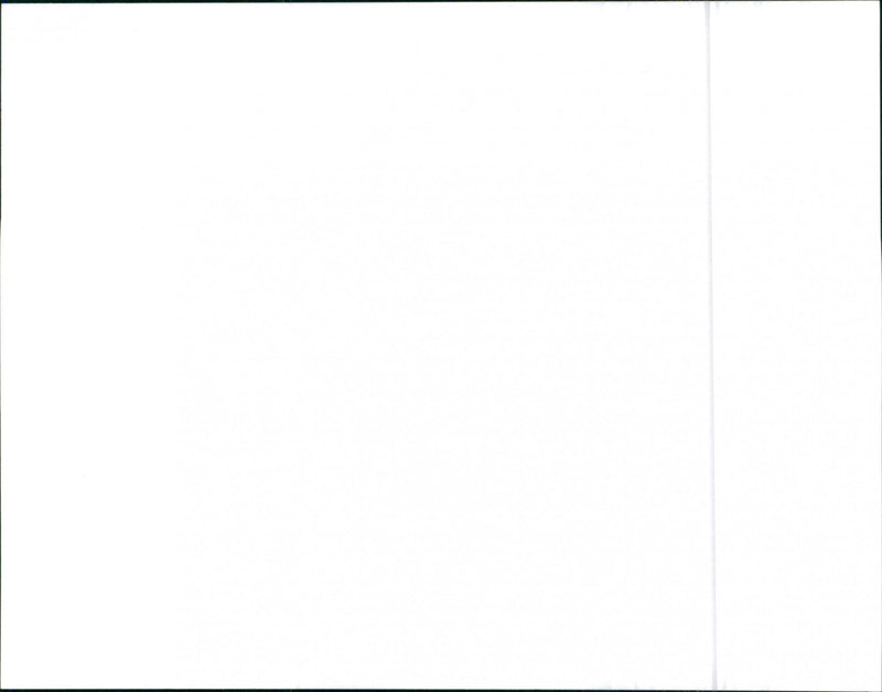 BMW 528i 1982 - Vintage Photograph