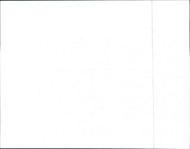 BMW 528i 1982 - Vintage Photograph