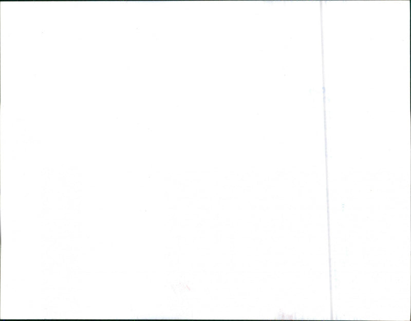 BMW 528i 1982 - Vintage Photograph