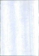 Jaguar Daimler Series III - Vintage Photograph