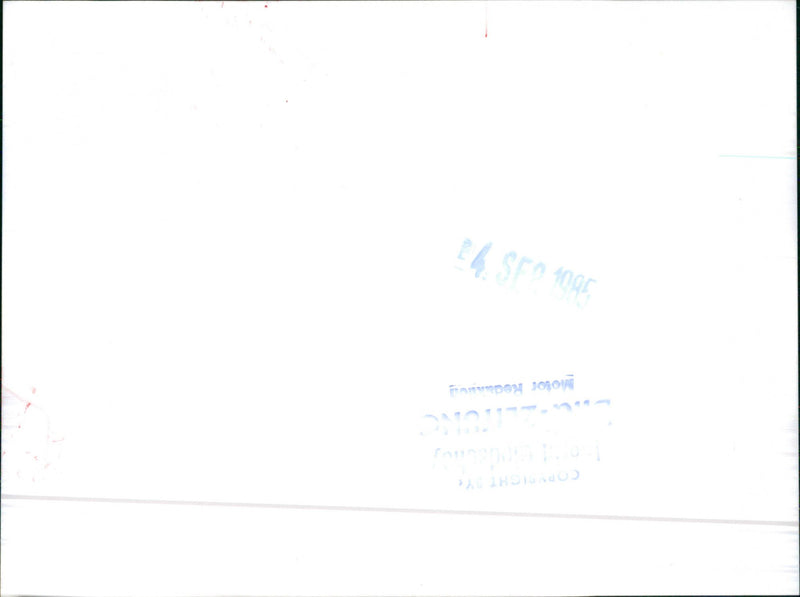 Toyota Publica Hi-De Luxe - Vintage Photograph