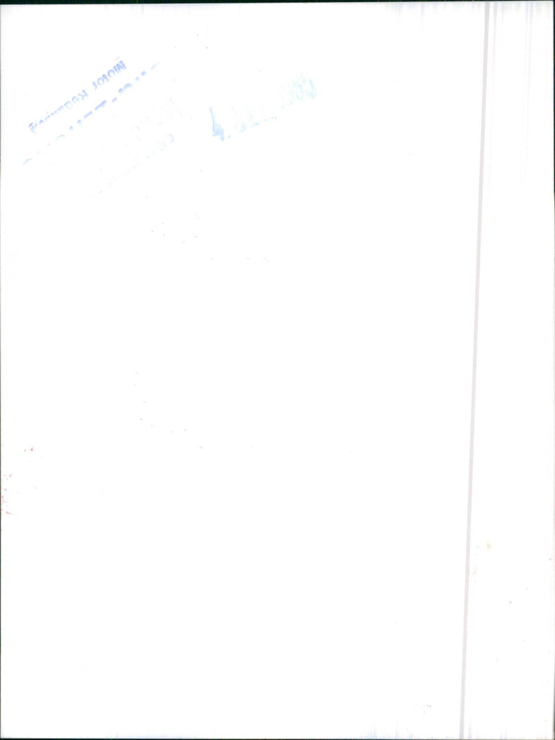 Toyota Publica Hi-De Luxe - Vintage Photograph