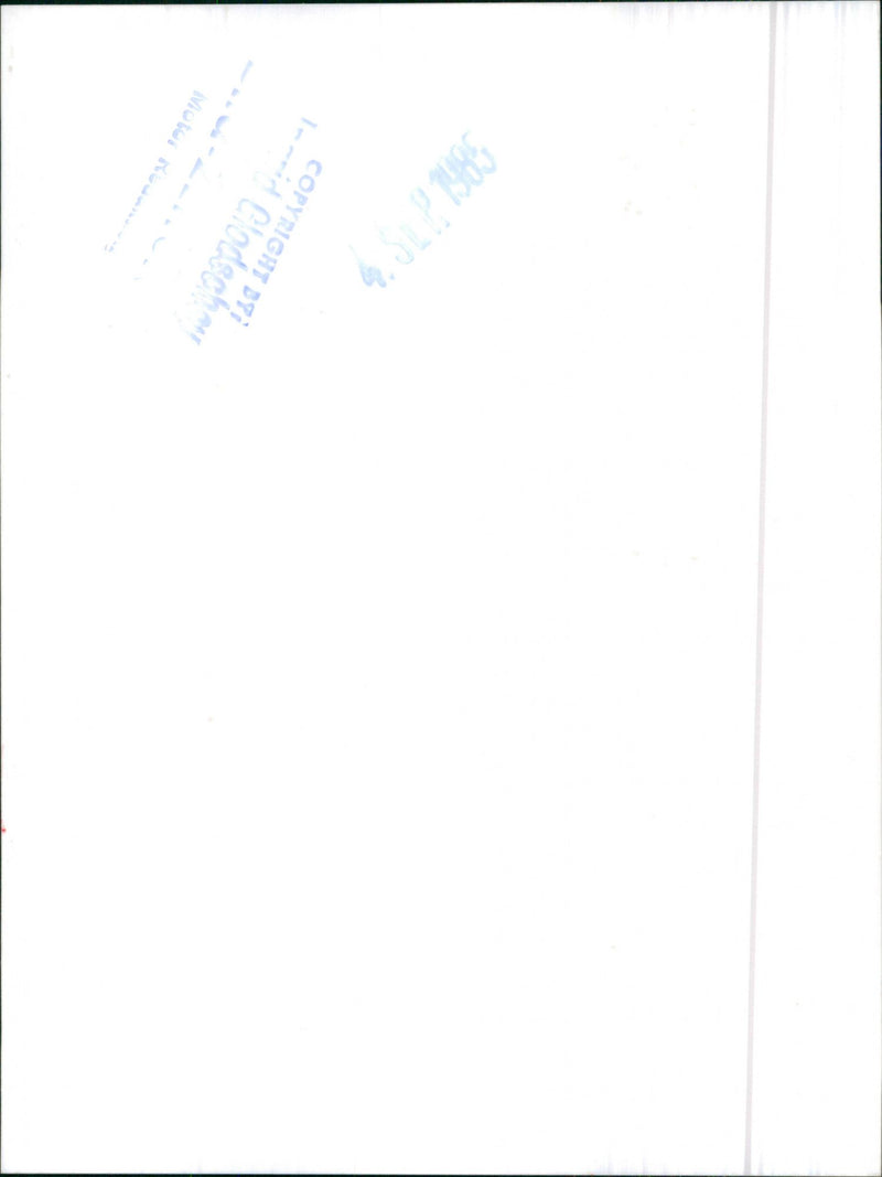 Toyota Publica Hi-De Luxe - Vintage Photograph