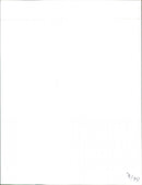 VW - Vintage Photograph