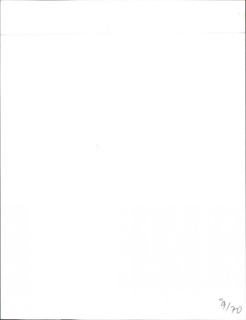 VW - Vintage Photograph