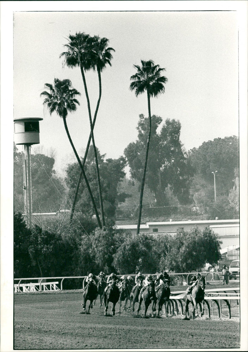 Horse Racing - Vintage Photograph