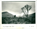 Creag Meagaidh - Vintage Photograph