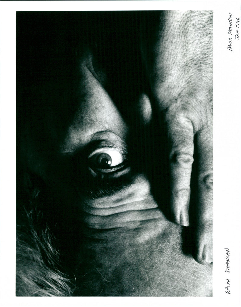 1996 - SAND - Vintage Photograph