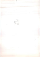 American-Swiss Singer Tina Turner - Vintage Photograph