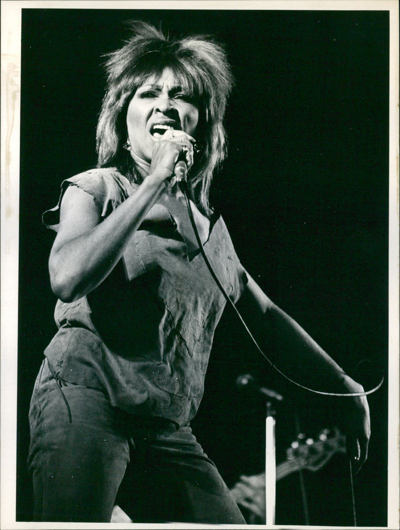 American-Swiss Singer Tina Turner - Vintage Photograph