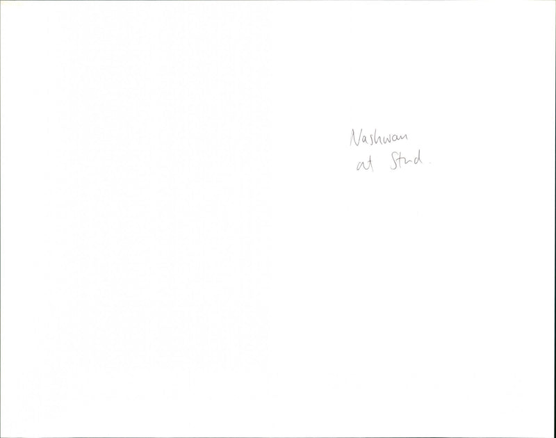 Nashwan - Vintage Photograph