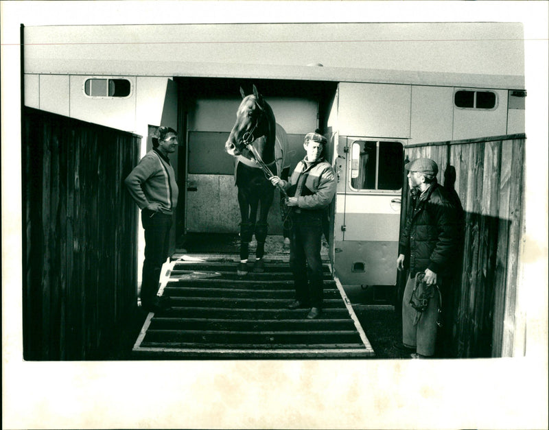 Nashwan - Vintage Photograph