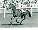 Steve Cauthen - Vintage Photograph