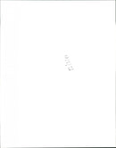 Gun Salute - Vintage Photograph