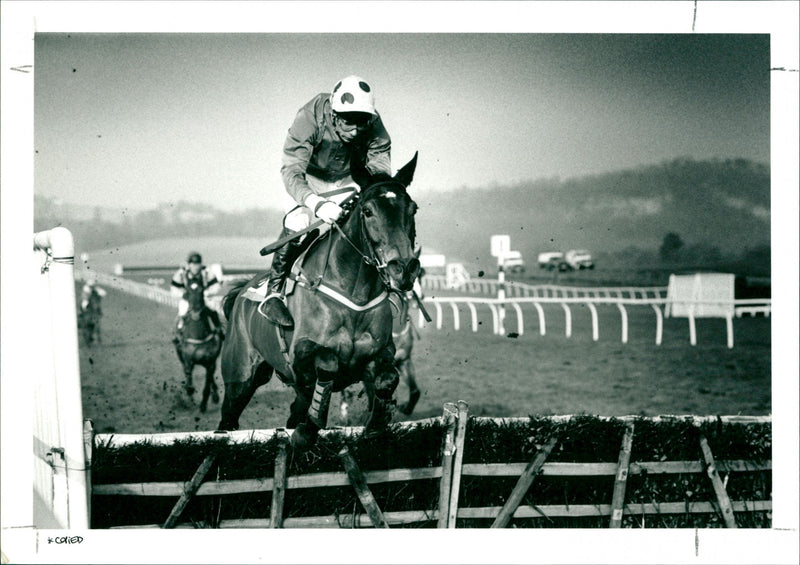 Horse Show Jumping - Vintage Photograph